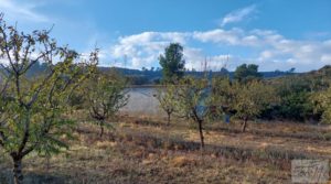 Foto de Finca de almendros jóvenes en plena producción cerca de Caspe. en venta con electricidad