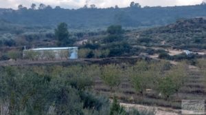 Finca de almendros jóvenes en plena producción cerca de Caspe. en oferta con goteo automatizado por 90.000€