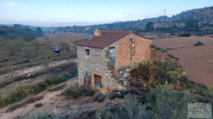 Se vende Finca de almendros jóvenes en plena producción cerca de Caspe. con almacén por 90.000€