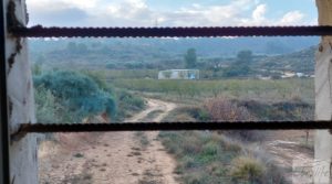 Foto de Finca de almendros jóvenes en plena producción cerca de Caspe. en venta con almacén por 90.000€