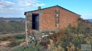 Se vende Finca de almendros jóvenes en plena producción cerca de Caspe. con electricidad por 90.000€