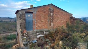 Finca de almendros jóvenes en plena producción cerca de Caspe. en oferta con almacén