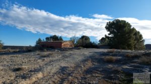 Se vende Finca en la huerta de Caspe con vivienda y almacén. con jardines