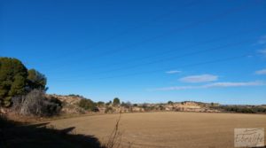 Se vende Finca en la huerta de Caspe con vivienda y almacén. con reserva de agua