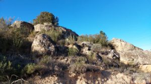 Vendemos Finca en la huerta de Caspe con vivienda y almacén. con paneles solares