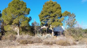 Finca en la huerta de Caspe con vivienda y almacén. en venta con corral de ovejas