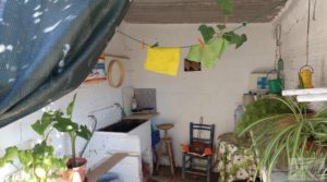 Se vende Finca en la huerta de Caspe con vivienda y almacén. con corral de ovejas por 180.000€