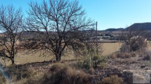 Detalle de Finca en la huerta de Caspe con vivienda y almacén. con paneles solares