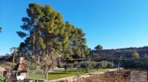 Se vende Finca rústica situada a menos de 3 km. de la ciudad de Caspe. con finca