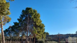 Finca rústica situada a menos de 3 km. de la ciudad de Caspe. en oferta con finca por 127.000€