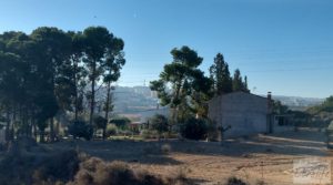 Finca rústica situada a menos de 3 km. de la ciudad de Caspe. a buen precio con finca