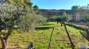 Finca rústica situada a menos de 3 km. de la ciudad de Caspe. para vender con finca