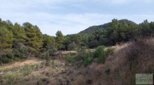 Vendemos Propiedad en Valderrobres ideal para vivir. con agua