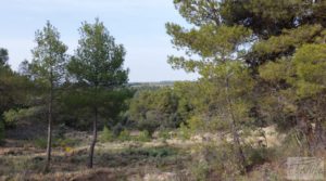 Detalle de Propiedad en Valderrobres ideal para vivir. con agua por 45.000€