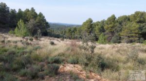 Vendemos Propiedad en Valderrobres ideal para vivir. con agua