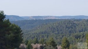 Propiedad en Valderrobres ideal para vivir. para vender con tranquilidad y privacidad