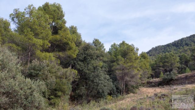 Propiedad en Valderrobres ideal para vivir.