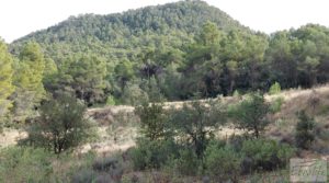 Foto de Propiedad en Valderrobres ideal para vivir. con agua