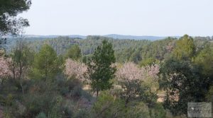 Foto de Propiedad en Valderrobres ideal para vivir. con agua por 45.000€