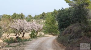 Foto de Propiedad en Valderrobres ideal para vivir. en venta con tranquilidad y privacidad por 45.000€