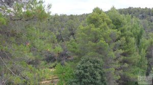 Foto de Finca en Monroyo entre el río Tastavins y Sierra Molinera. en venta con agua de riego