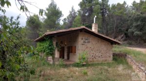 Detalle de Finca en Monroyo entre el río Tastavins y Sierra Molinera. con agua de riego