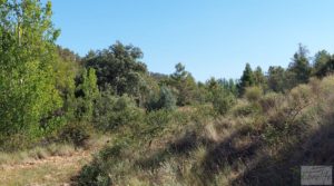 Foto de Finca en Fórnoles de 9,2 hectáreas con casa de piedra en venta con frutales