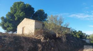 Detalle de Finca de regadío en Caspe, tranquila y con buenos accesos. con tranquilidad