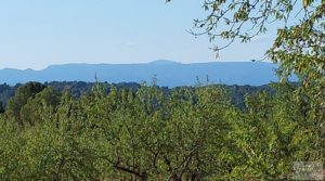 Finca en Mazaleón, comarca del Matarraña. para vender