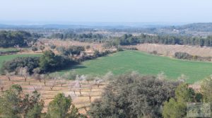 Finca de almendros, olivos y bosque en Arens de Lledó. para vender con buenos accesos
