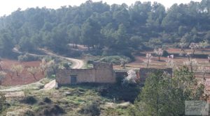 Foto de Finca de almendros, olivos y bosque en Arens de Lledó. en venta con buenos accesos