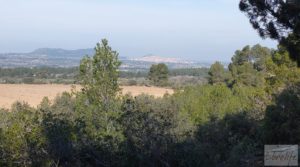 Finca de almendros, olivos y bosque en Arens de Lledó. en oferta con buenos accesos por 160.000€