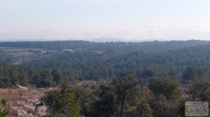 Foto de Finca de almendros, olivos y bosque en Arens de Lledó. con buenos accesos