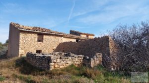 Detalle de Finca de almendros, olivos y bosque en Arens de Lledó. con buenos accesos