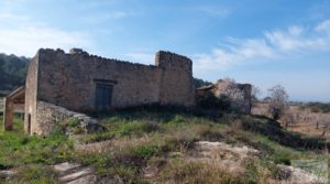 Foto de Finca de almendros, olivos y bosque en Arens de Lledó. con buenos accesos por 160.000€
