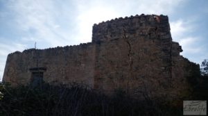 Finca de almendros, olivos y bosque en Arens de Lledó. para vender con buenos accesos