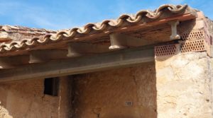 Finca de almendros, olivos y bosque en Arens de Lledó. a buen precio con buenos accesos