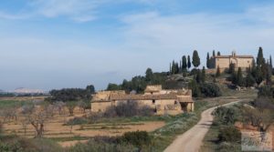 Finca de almendros, olivos y bosque en Arens de Lledó. a buen precio con buenos accesos por 160.000€