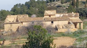 Detalle de Finca de almendros, olivos y bosque en Arens de Lledó. con buenos accesos por 160.000€