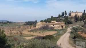 Finca de almendros, olivos y bosque en Arens de Lledó. a buen precio con buenos accesos
