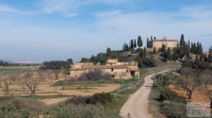 Finca de almendros, olivos y bosque en Arens de Lledó. a buen precio con buenos accesos