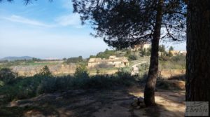 Vendemos Finca de almendros, olivos y bosque en Arens de Lledó. con buenos accesos