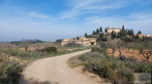 Finca de almendros, olivos y bosque en Arens de Lledó. para vender con buenos accesos