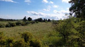 Magnífica finca en Valderrobres, capital del Matarraña, de 7’8 hectáreas. a buen precio con agua por 139.000€