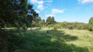Magnífica finca en Valderrobres, capital del Matarraña, de 7’8 hectáreas. en venta con agua por 139.000€