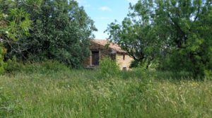 Se vende Magnífica finca en Valderrobres, capital del Matarraña, de 7’8 hectáreas. con accesos asfaltados por 139.000€