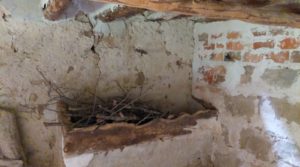 Se vende Magnífica finca en Valderrobres, capital del Matarraña, de 7’8 hectáreas. con agua por 139.000€