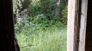 Se vende Magnífica finca en Valderrobres, capital del Matarraña, de 7’8 hectáreas. con agua por 139.000€