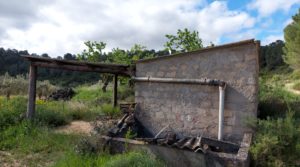 Foto de Finca olivarera en Mazaleón, con almendros en plena producción. con mucha privacidad por 52.000€