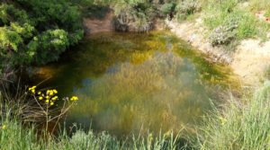 Foto de Magnífica finca en Valderrobres, capital del Matarraña, de 7’8 hectáreas. en venta con agua por 139.000€